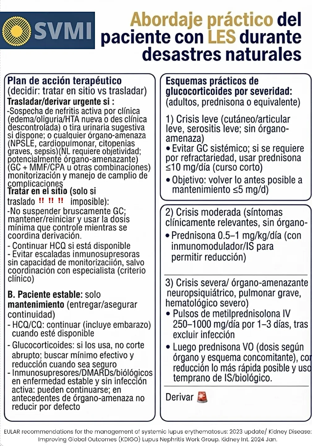 Lupus Eritematoso Sistémico (LES) - 3